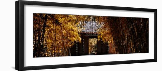 China 10MKm2 Collection - Bamboo Forest-Philippe Hugonnard-Framed Photographic Print