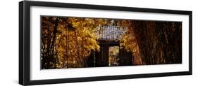 China 10MKm2 Collection - Bamboo Forest-Philippe Hugonnard-Framed Photographic Print