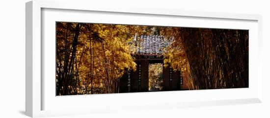 China 10MKm2 Collection - Bamboo Forest-Philippe Hugonnard-Framed Photographic Print