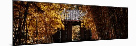 China 10MKm2 Collection - Bamboo Forest-Philippe Hugonnard-Mounted Photographic Print