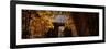 China 10MKm2 Collection - Bamboo Forest-Philippe Hugonnard-Framed Photographic Print