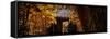 China 10MKm2 Collection - Bamboo Forest-Philippe Hugonnard-Framed Stretched Canvas