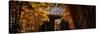 China 10MKm2 Collection - Bamboo Forest-Philippe Hugonnard-Stretched Canvas