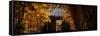 China 10MKm2 Collection - Bamboo Forest-Philippe Hugonnard-Framed Stretched Canvas