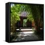 China 10MKm2 Collection - Bamboo Forest-Philippe Hugonnard-Framed Stretched Canvas