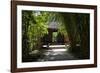 China 10MKm2 Collection - Bamboo Forest-Philippe Hugonnard-Framed Photographic Print