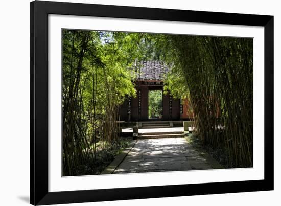 China 10MKm2 Collection - Bamboo Forest-Philippe Hugonnard-Framed Photographic Print