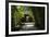 China 10MKm2 Collection - Bamboo Forest-Philippe Hugonnard-Framed Photographic Print