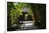 China 10MKm2 Collection - Bamboo Forest-Philippe Hugonnard-Framed Photographic Print