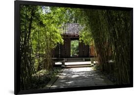 China 10MKm2 Collection - Bamboo Forest-Philippe Hugonnard-Framed Photographic Print