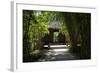 China 10MKm2 Collection - Bamboo Forest-Philippe Hugonnard-Framed Photographic Print