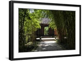 China 10MKm2 Collection - Bamboo Forest-Philippe Hugonnard-Framed Photographic Print