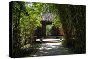 China 10MKm2 Collection - Bamboo Forest-Philippe Hugonnard-Stretched Canvas