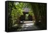 China 10MKm2 Collection - Bamboo Forest-Philippe Hugonnard-Framed Stretched Canvas