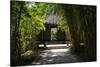 China 10MKm2 Collection - Bamboo Forest-Philippe Hugonnard-Stretched Canvas