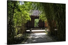 China 10MKm2 Collection - Bamboo Forest-Philippe Hugonnard-Stretched Canvas