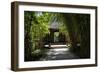 China 10MKm2 Collection - Bamboo Forest-Philippe Hugonnard-Framed Photographic Print