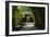 China 10MKm2 Collection - Bamboo Forest-Philippe Hugonnard-Framed Photographic Print