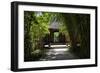 China 10MKm2 Collection - Bamboo Forest-Philippe Hugonnard-Framed Photographic Print