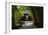 China 10MKm2 Collection - Bamboo Forest-Philippe Hugonnard-Framed Photographic Print