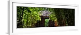 China 10MKm2 Collection - Bamboo Forest-Philippe Hugonnard-Framed Premium Photographic Print