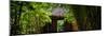 China 10MKm2 Collection - Bamboo Forest-Philippe Hugonnard-Mounted Premium Photographic Print