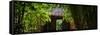 China 10MKm2 Collection - Bamboo Forest-Philippe Hugonnard-Framed Stretched Canvas