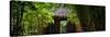 China 10MKm2 Collection - Bamboo Forest-Philippe Hugonnard-Stretched Canvas