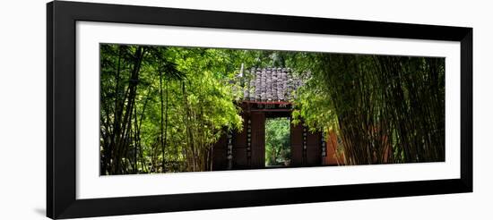 China 10MKm2 Collection - Bamboo Forest-Philippe Hugonnard-Framed Photographic Print