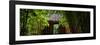 China 10MKm2 Collection - Bamboo Forest-Philippe Hugonnard-Framed Photographic Print