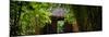 China 10MKm2 Collection - Bamboo Forest-Philippe Hugonnard-Mounted Photographic Print