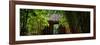 China 10MKm2 Collection - Bamboo Forest-Philippe Hugonnard-Framed Photographic Print