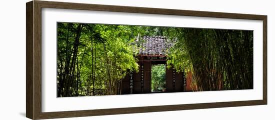 China 10MKm2 Collection - Bamboo Forest-Philippe Hugonnard-Framed Photographic Print