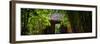 China 10MKm2 Collection - Bamboo Forest-Philippe Hugonnard-Framed Photographic Print