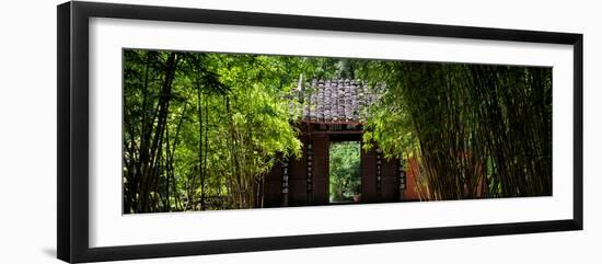 China 10MKm2 Collection - Bamboo Forest-Philippe Hugonnard-Framed Photographic Print