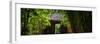 China 10MKm2 Collection - Bamboo Forest-Philippe Hugonnard-Framed Photographic Print