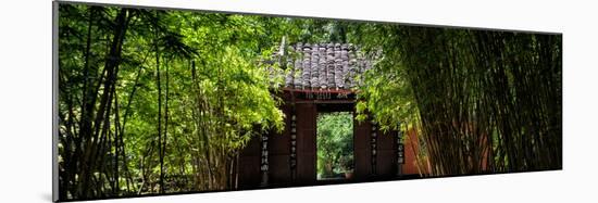 China 10MKm2 Collection - Bamboo Forest-Philippe Hugonnard-Mounted Photographic Print