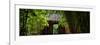 China 10MKm2 Collection - Bamboo Forest-Philippe Hugonnard-Framed Premium Photographic Print