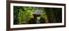 China 10MKm2 Collection - Bamboo Forest-Philippe Hugonnard-Framed Premium Photographic Print