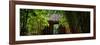 China 10MKm2 Collection - Bamboo Forest-Philippe Hugonnard-Framed Premium Photographic Print