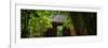 China 10MKm2 Collection - Bamboo Forest-Philippe Hugonnard-Framed Photographic Print