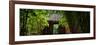 China 10MKm2 Collection - Bamboo Forest-Philippe Hugonnard-Framed Photographic Print