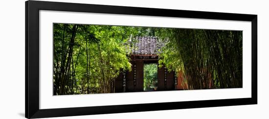 China 10MKm2 Collection - Bamboo Forest-Philippe Hugonnard-Framed Photographic Print