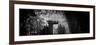 China 10MKm2 Collection - Bamboo Forest-Philippe Hugonnard-Framed Photographic Print