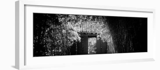 China 10MKm2 Collection - Bamboo Forest-Philippe Hugonnard-Framed Photographic Print