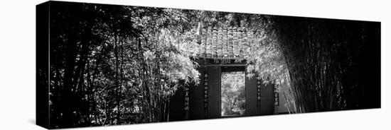 China 10MKm2 Collection - Bamboo Forest-Philippe Hugonnard-Stretched Canvas