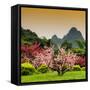 China 10MKm2 Collection - Beautiful Asian Garden-Philippe Hugonnard-Framed Stretched Canvas