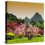 China 10MKm2 Collection - Beautiful Asian Garden-Philippe Hugonnard-Stretched Canvas