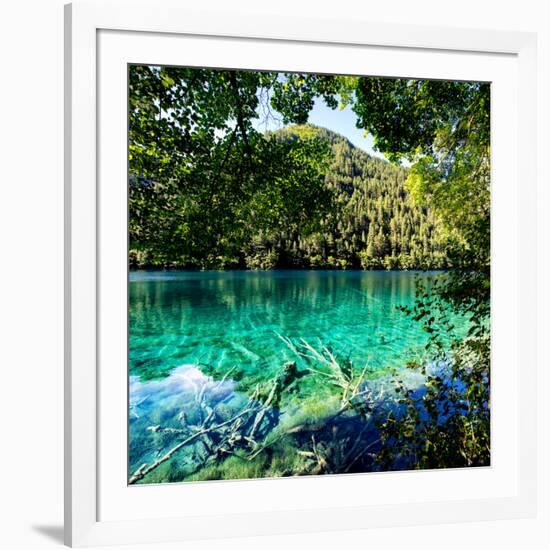 China 10MKm2 Collection - Beautiful Lake in the Jiuzhaigou National Park-Philippe Hugonnard-Framed Photographic Print