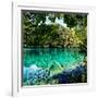 China 10MKm2 Collection - Beautiful Lake in the Jiuzhaigou National Park-Philippe Hugonnard-Framed Photographic Print